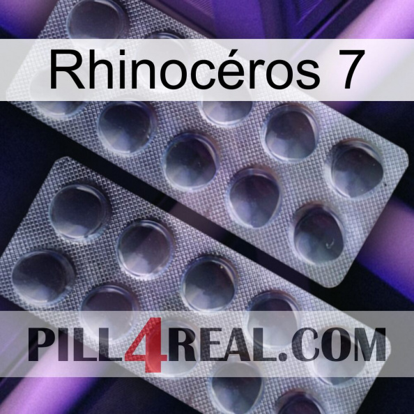 Rhinocéros 7 31